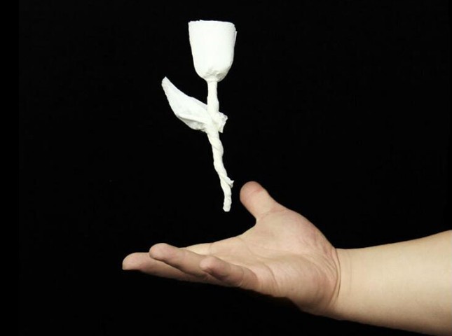 纸玫瑰悬浮魔术教学图片
