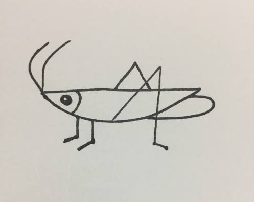 蚂蚱的简笔画 如何画昆虫