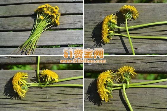 如何用野花编花环|用鲜花怎样编花环教程