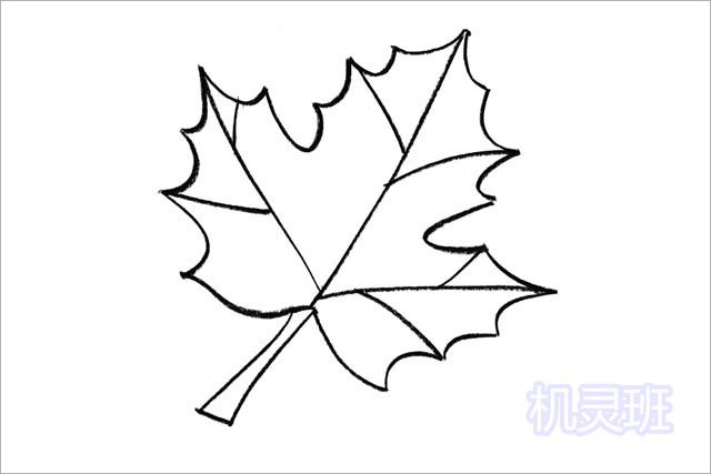 枫树叶简笔画儿童图片
