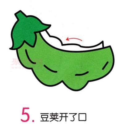 毛豆画法第5步