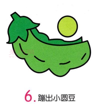 毛豆画法第6步