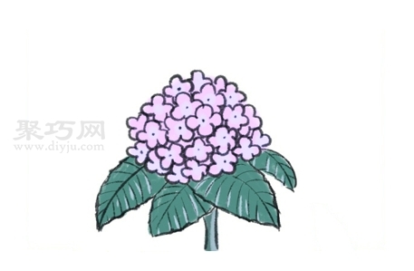 如何画绣球花好看又简单 来学绣球花简笔画步骤