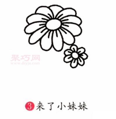 菊花画法第3步