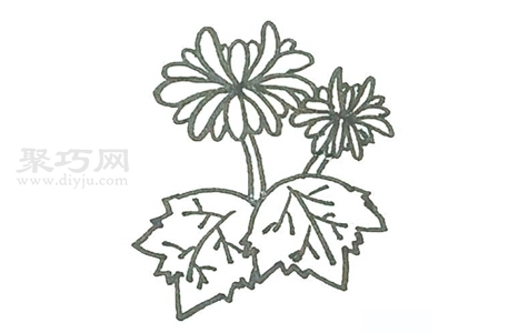 怎么画菊花？一起来学菊花简笔画