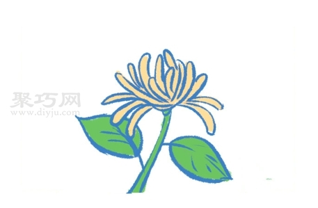 一步一步教你画菊花简笔画