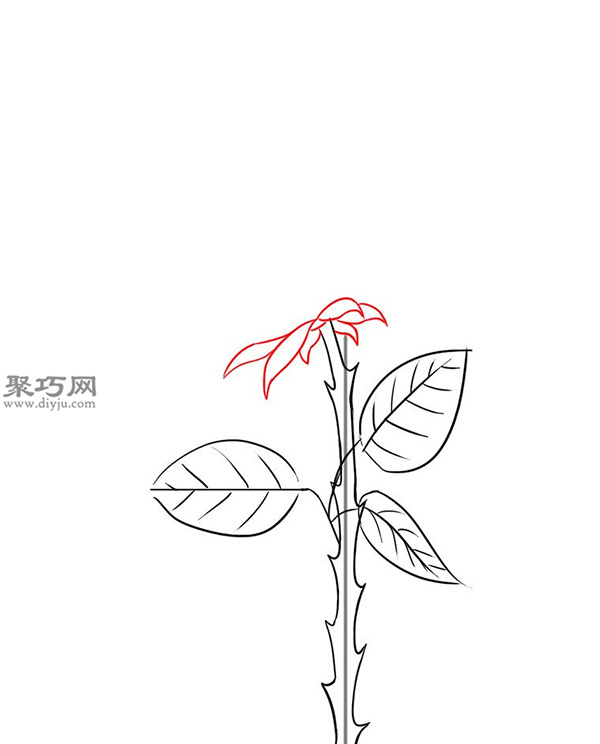 用铅笔画玫瑰花的简笔画步骤 7