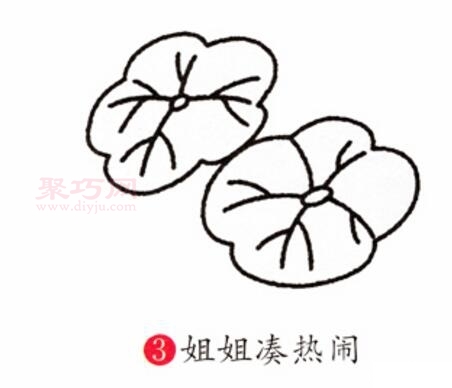 荷花画法第3步