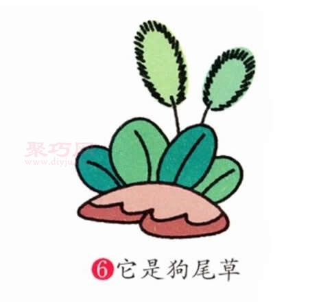 狗尾草画法第6步