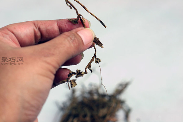 室外干燥法干燥草本植物图解教程 14