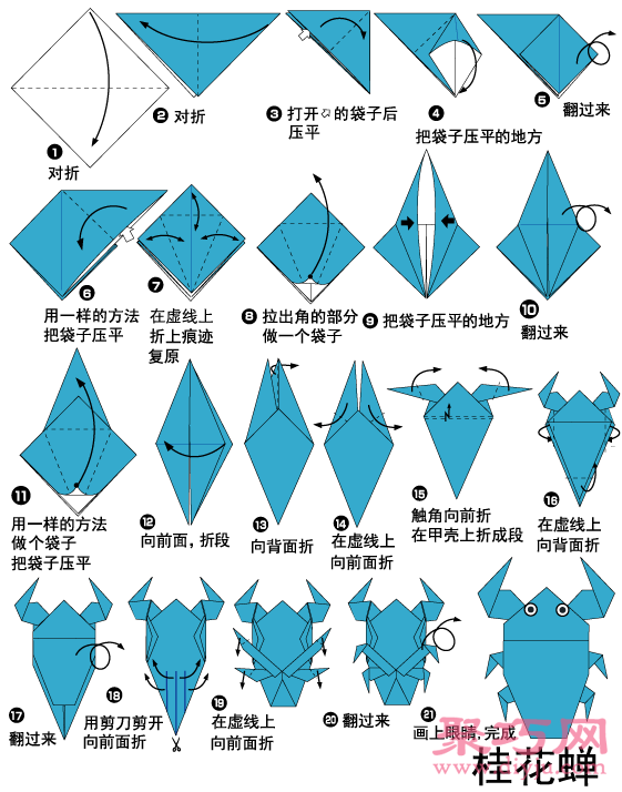 简单幼儿田鳖手工折纸教程